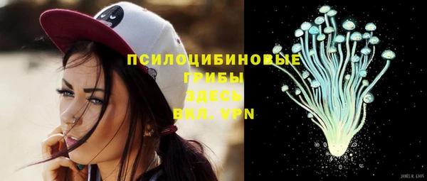 дмт Балахна