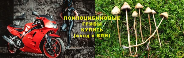 a pvp Мегион