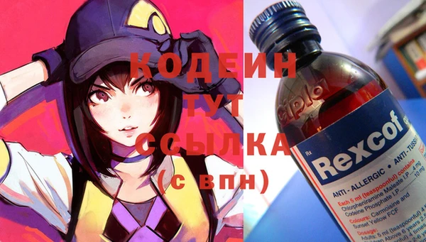 молекула духа Медвежьегорск